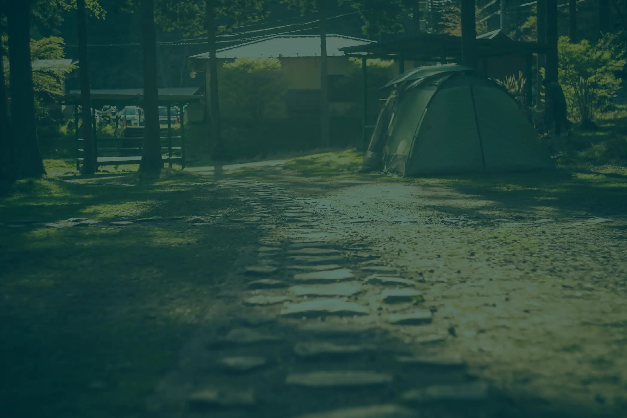 Ήσυχος προορισμός camping με σκηνή ανάμεσα στα δέντρα